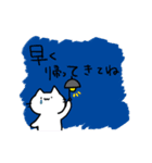 ねこのまんま しろねこ日和（個別スタンプ：13）