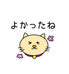 よく使うひと言2（個別スタンプ：19）