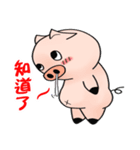 くしゃみ豚 - 日常生活の対話（個別スタンプ：24）