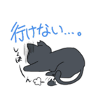 保護猫たすけ隊 さくらねこ（個別スタンプ：5）