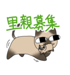 保護猫たすけ隊 さくらねこ（個別スタンプ：15）