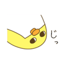 きいろいぺんぎん（個別スタンプ：6）