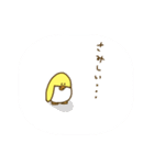 きいろいぺんぎん（個別スタンプ：20）