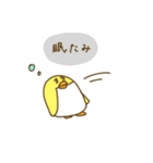 きいろいぺんぎん（個別スタンプ：30）