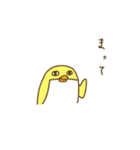 きいろいぺんぎん（個別スタンプ：31）