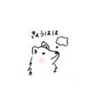 dog wakayamadialect（個別スタンプ：2）