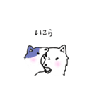 dog wakayamadialect（個別スタンプ：10）