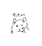 dog wakayamadialect（個別スタンプ：15）