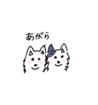 dog wakayamadialect（個別スタンプ：20）