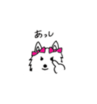 dog wakayamadialect（個別スタンプ：21）