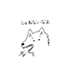 dog wakayamadialect（個別スタンプ：25）