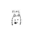 dog wakayamadialect（個別スタンプ：34）
