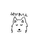 dog wakayamadialect（個別スタンプ：38）