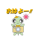 幸運を呼ぶ亀 <かめかめら>（個別スタンプ：5）