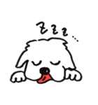 大きな白い犬（個別スタンプ：9）