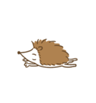 Hedgehog Boo（個別スタンプ：1）