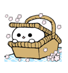 Scottish Fold kitten <BOONEW>（個別スタンプ：14）