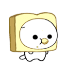 Scottish Fold kitten <BOONEW>（個別スタンプ：19）