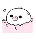 Scottish Fold kitten <BOONEW>（個別スタンプ：26）