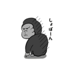 ゴリラ三兄弟（個別スタンプ：11）
