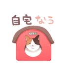 うちの哀愁ただよう猫たちのスタンプ（個別スタンプ：33）