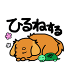 愛犬ティンクと仲良し亀さん（個別スタンプ：2）