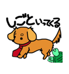愛犬ティンクと仲良し亀さん（個別スタンプ：3）
