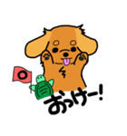 愛犬ティンクと仲良し亀さん（個別スタンプ：14）
