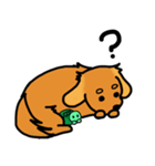 愛犬ティンクと仲良し亀さん（個別スタンプ：17）