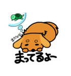 愛犬ティンクと仲良し亀さん（個別スタンプ：21）