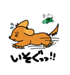 愛犬ティンクと仲良し亀さん（個別スタンプ：23）