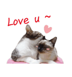 Meow meow meow fluffy paws（個別スタンプ：1）