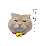 Meow meow meow fluffy paws（個別スタンプ：3）