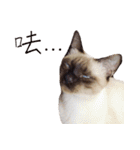 Meow meow meow fluffy paws（個別スタンプ：9）
