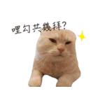 Meow meow meow fluffy paws（個別スタンプ：20）