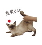 Meow meow meow fluffy paws（個別スタンプ：25）