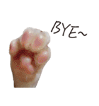 Meow meow meow fluffy paws（個別スタンプ：28）