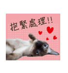 Meow meow meow fluffy paws（個別スタンプ：30）