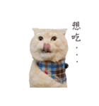 Meow meow meow fluffy paws（個別スタンプ：32）