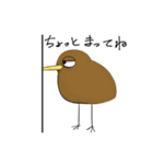 無口なキーウィ（個別スタンプ：8）