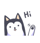 Kino The Siberian Husky（個別スタンプ：16）