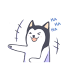 Kino The Siberian Husky（個別スタンプ：17）