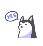 Kino The Siberian Husky（個別スタンプ：18）