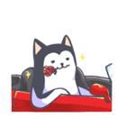 Kino The Siberian Husky（個別スタンプ：24）