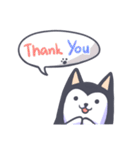 Kino The Siberian Husky（個別スタンプ：36）