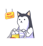 Kino The Siberian Husky（個別スタンプ：37）