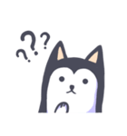 Kino The Siberian Husky（個別スタンプ：39）