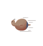 FatDo（個別スタンプ：39）