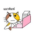 Kavaii cat（個別スタンプ：3）