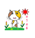 Kavaii cat（個別スタンプ：20）